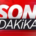Donald Trump, Vladimir Putin ile telefonda görüştü